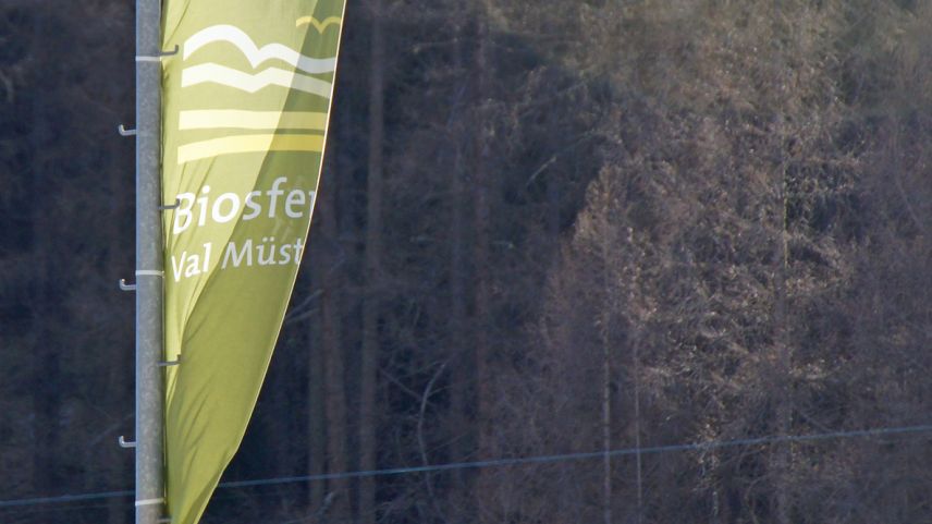 fotografia: Jon Duschletta