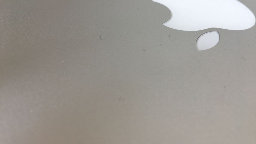 Ein Blick auf diesen Apfel und jeder weiss wer gemeint ist. Foto: Carla Sabato