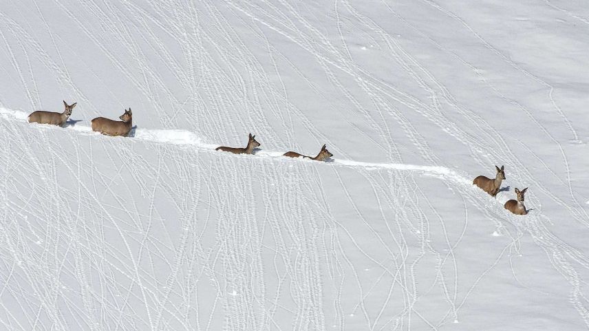 Foto: Walter Candreia