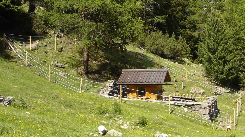 Ein Bienenhaus in der Val Mora: Der Elektrozaun sichert es vor Bären. Foto: Toni Theus