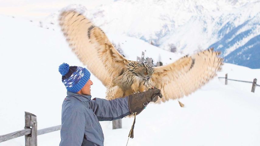 Werner Fischer e seis püf «Bubo». Püfs pon avair üna ladezza d’alas da fin 190 centimeters.	fotografia: Werner Fischer