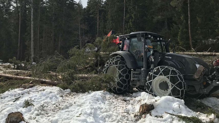 Ün dals duos tractors forestals a Panas-ch in acziun. Üna part da la bos-cha schmersa servirà per dar structura a l’ischla (fotografia: Adrian Schorta).