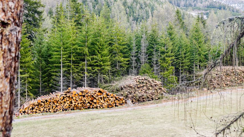 Holz ist ein wichtiger Energielieferant, trägt aber auch zur Feinstaubbelastung der Luft bei. Je besser und trockener das Ausgangsmaterial, desto geringer sind die Emissionen. Die Weichen für gute Luftqualität werden, wie hier in Zernez, also bereits im W