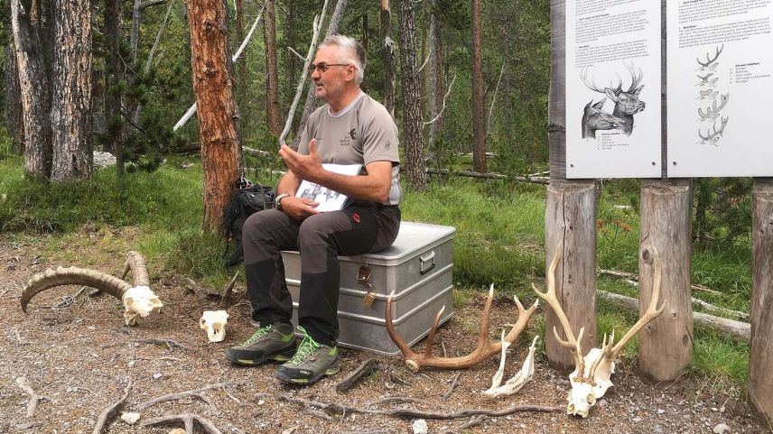 Nationalpark-Exkursionsleiter Roman Gross im Feldeinsatz. Foto: Jon Duschletta