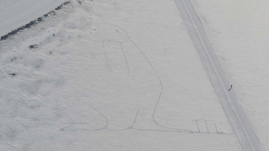 Das Riesen-Walross auf dem Lej da Champfèr. Foto: Jon Martin Taverna