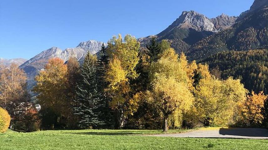 La bos-cha e frus-chaglia da Buorcha i’l vesti d’utuon. fotografia: Claudia Knapp