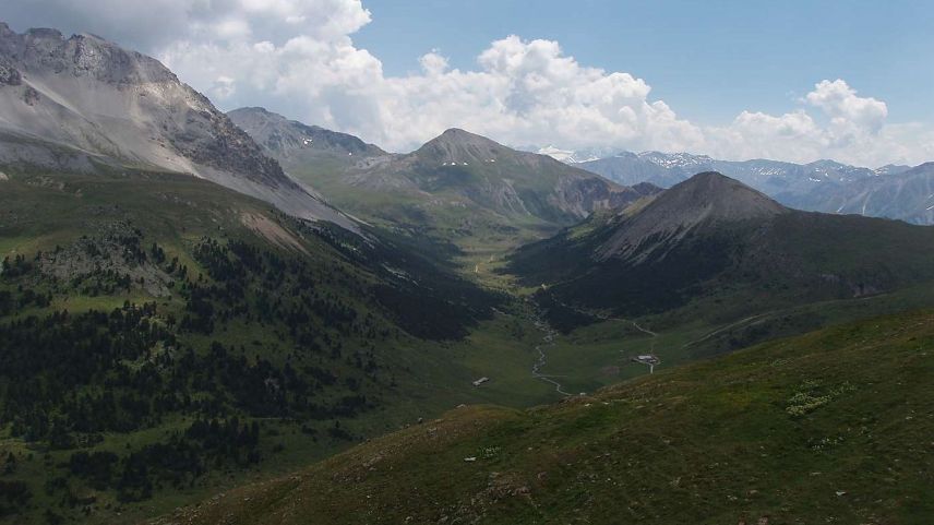 L’Alp Astras Tamangur sül territori dal cumün da Scuol. fotografia: Flurin Andry