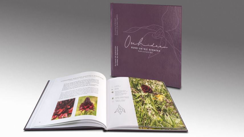 Das Buch «Orchideen rund um die Bernina» beschreibt die hiesige botanische Vielfalt. Foto: Daniel Zaugg