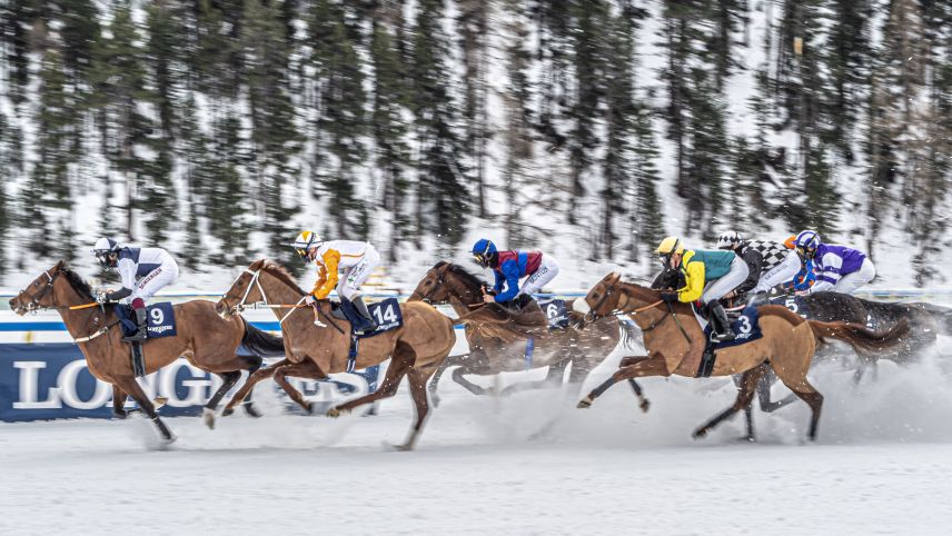 2021 werden auf dem St. Moritzersee keine Pferderennen stattfinden. Wegen Corona wurden sie auf 2022 verschoben. Foto: Daniel Zaugg