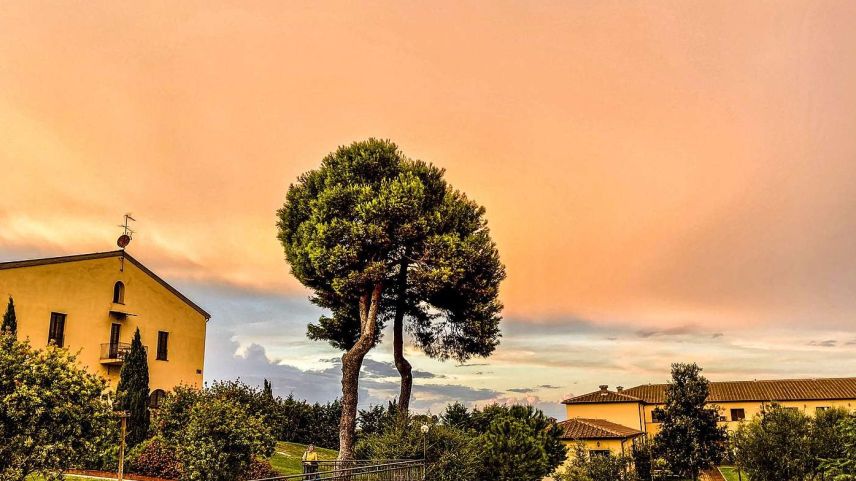 Poggio all'Agnello, Toscana. Foto: Jon Duschletta