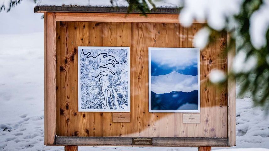 Federico Settes Fotografien beleben die Waldgalerie in La Punt Chamues-ch. «Durch diese Ausstellung ist in mir der Wunsch erwacht, in Zukunft mit grösseren Bildformaten zu arbeiten», so Sette. Foto: Jon Duschletta