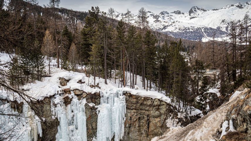 Im Winter wird die Berninabachschlucht von den Eiskletterern in Beschlag genommen. Foto: Daniel Zaugg