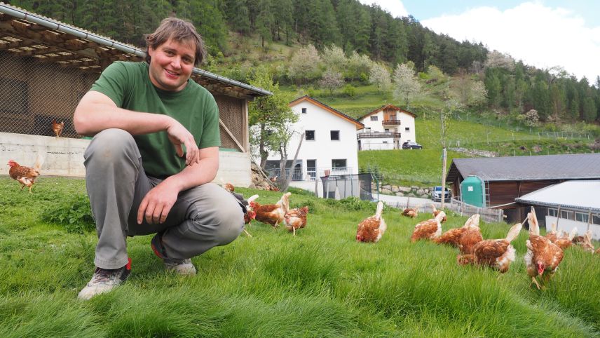 Armon Mayer hält auf seinem Bio-Hof im Unterengadin 1000 Hühner. Er ist gegen die «Agrarinitiativen».