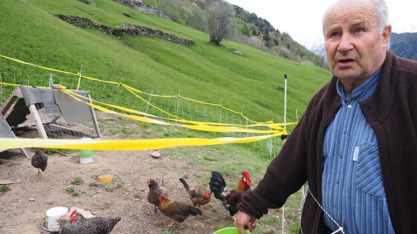 Felix Brügger betreibt in Soglio einen landwirtschaftlichen Kleinbetrieb mit Hühnern, Ziegen, Obst, Gemüse und Kastanien. Er befürwortet beide «Agrarinitiativen». 