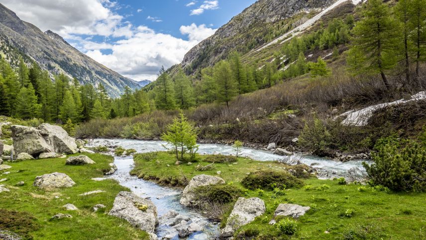 Der Beverin ist der erste Fluss der Schweiz, der den Titel "Gewässerperle Plus" tragen darf. Foto: Daniel Zaugg