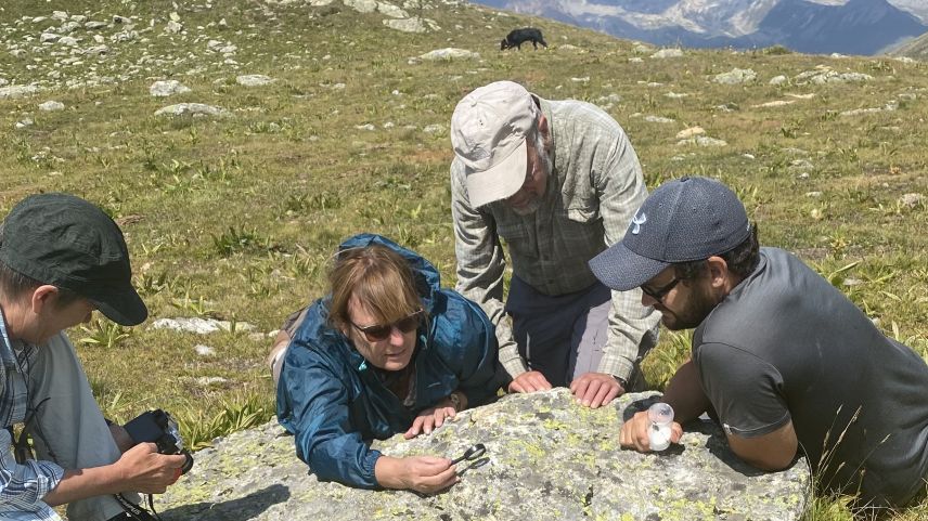 Christian Roesti (ganz rechts) erläutert das Paarungsverhalten der nordischen Gebirgsheuschrecke. 
Foto: David Jenny