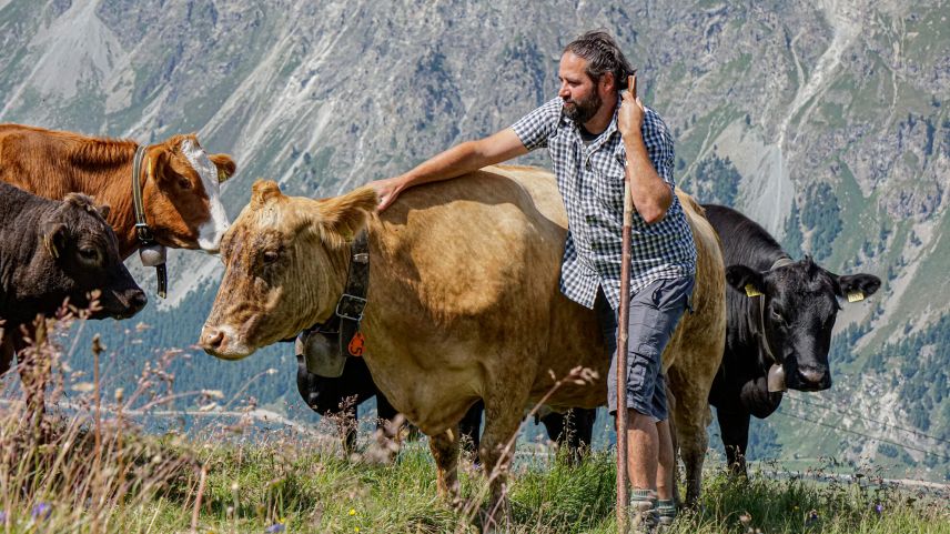 Der Hirte Jules Denner ist den Sommer über zuständig für 90 Kühe, Kälber und Rinder.