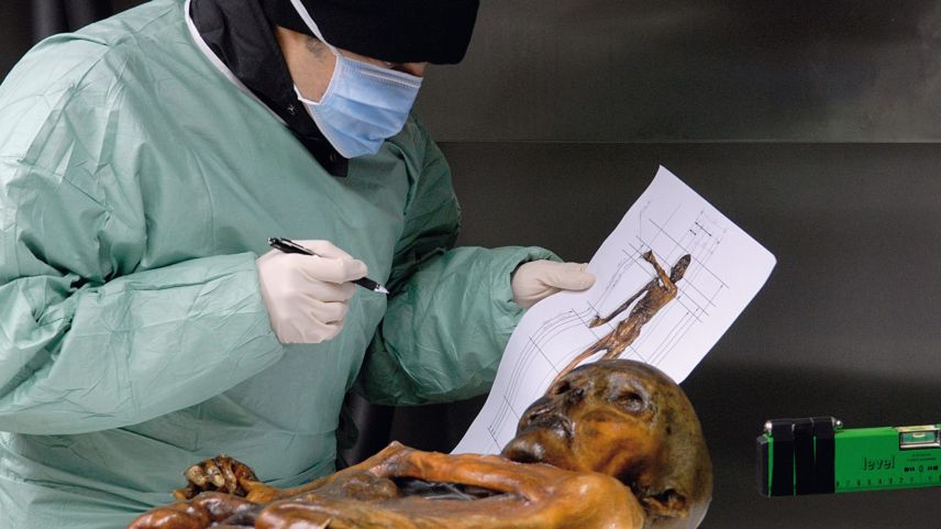 In mehr als 600 Einzeluntersuchungen ging man dem Leben von Ötzi auf den Grund. Er ist der am besten untersuchte Mensch weltweit. 
Foto: Südtiroler Archäologiemuseum, Eurac, Samadelli Staschitz