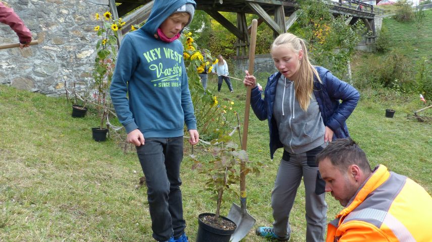 Il silvicultur Gisep Rainolter ha güdà a las scolaras e scolars da la prüma secundara ad implantar la bos-cha (fotografia: Flurin Andry).