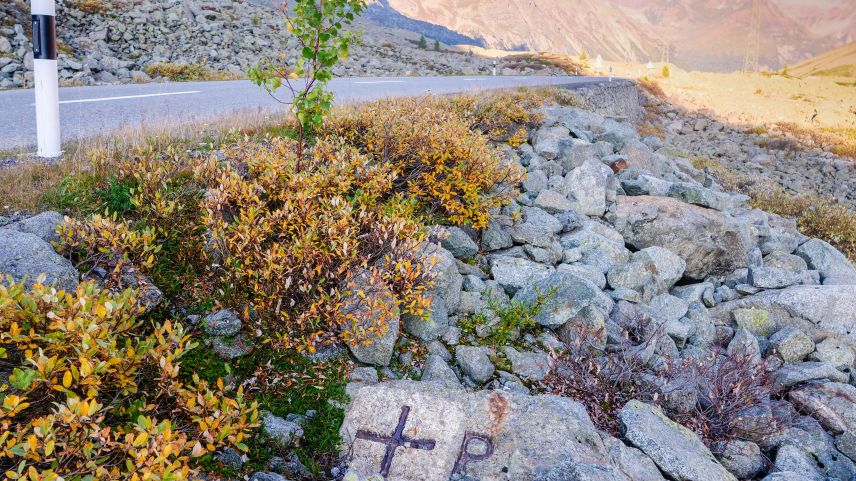 Im Gebiet Cruschetta unterhalb der Albula-Passhöhe befindet sich die Gemeindegrenze zwischen Bergün und La Punt Chaumues.ch. Fotos: Jon Duschletta