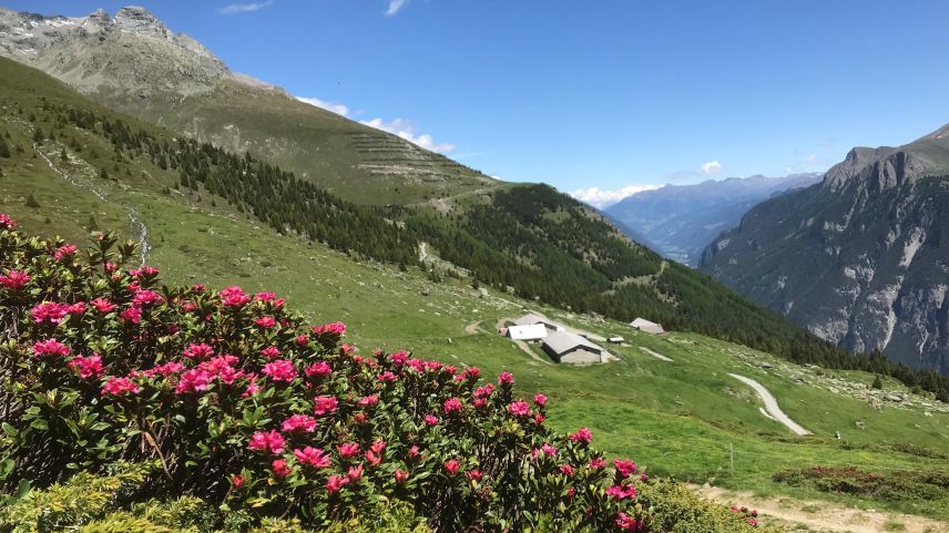 L’Alp Tea sura e l’Alp Tea sot, cun davovart l’Oberes Inntal i’l Tirol vaschin (fotografia: Flurin Andry).