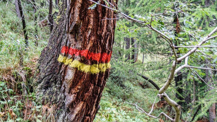 Die Markierung auf dem Bild stellt eine Jagdgebietsgrenze dar: Rot bedeutet Jagdverbot, gelb Jagdgebiet. Foto: Jon Duschletta
