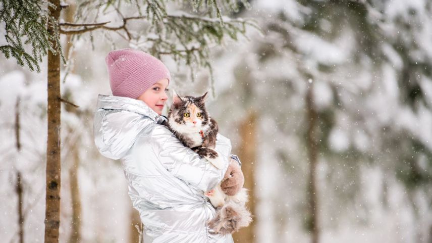 Bei Schnee lassen sich Katzen ausnahmsweise gern auf den Arm nehmen.  Foto: Shutterstock.com/Maria_Moroz