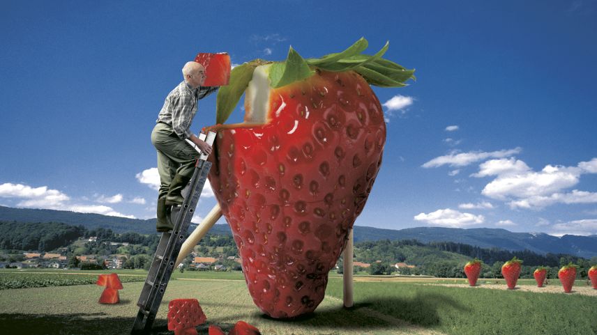 Photoshop-Composing "Erdbeerbauer" aus dem Jahr 2002.  Foto: Daniel Zaugg
