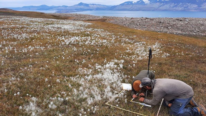 Charlotta Mattsson, Masterstudentin an der Uni Basel und Andreas Gygax, Autor der Flora Helvetica und Botaniker am SLF, untersuchen, wie sich die Pflanzenwelt auf Grönland in den vergangenen Jahrzehnten verändert hat. Foto: Christian Rixen/SLF