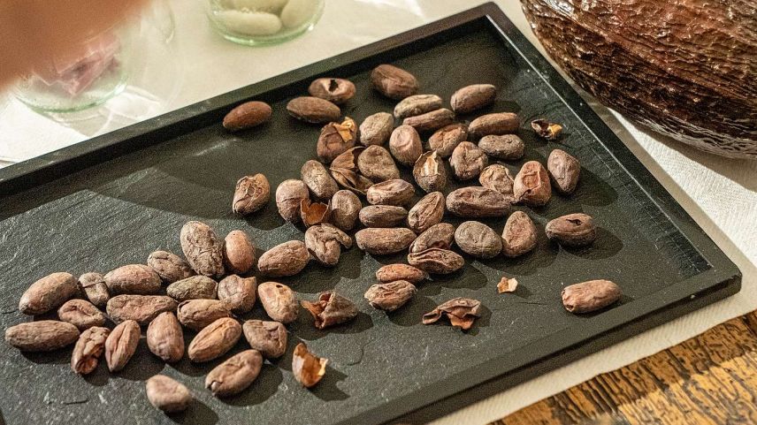 Getrocknete Kakaobohnen mit Kakaofrucht. Foto: Jon Duschletta