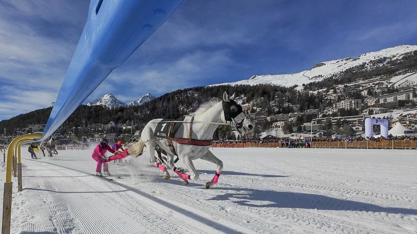 Die Engadinerin Valeria Schiergen überzeugt erneut am Skikjöring-Rennen. Foto: fotoswiss.com/Giancarlo Cattaneo