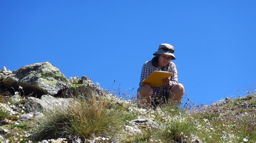 Sonja Wipf erforscht die Wirkungen der Klimaerwärmung auf die Pflanzen in Schweizerischen Nationalpark. Foto. zVg