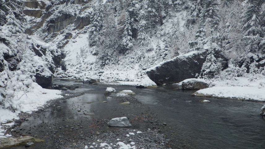 Foto: Amt für Natur und Umwel