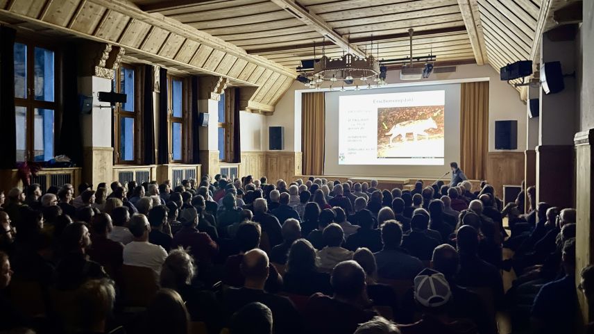 Voller Saal bei der öffentlichen Informationsveranstaltung zum Thema "Aktuelle Situation der Grossraubtiere im Unterengadin". Foto: Fadrina Hofmann