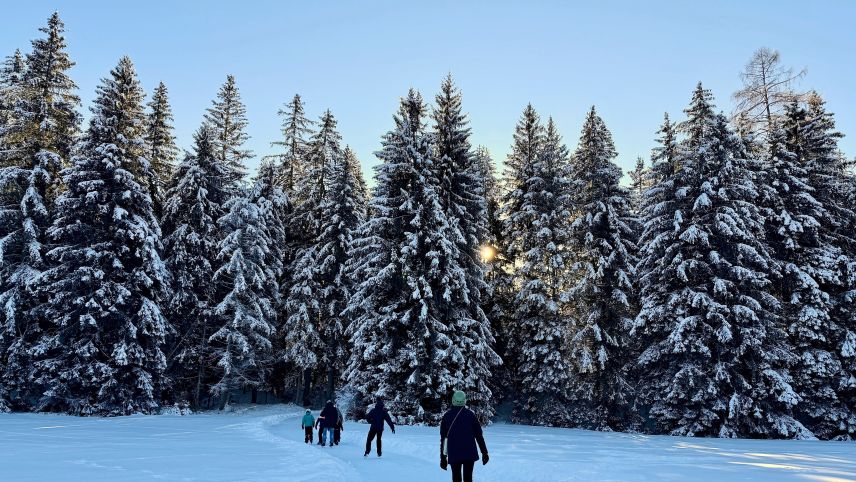 La via da glatsch maina sün ün traget da trais kilometers tras il god. fotografia: Fadrina Hofmann