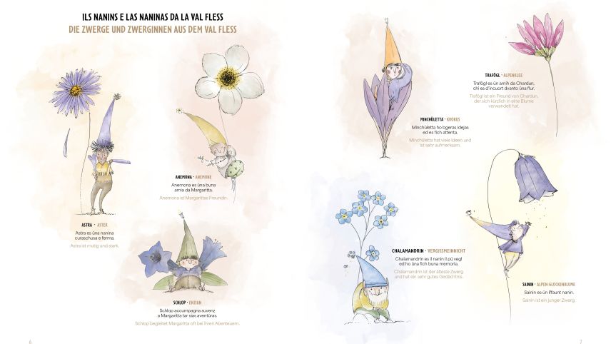 Die Illustrationen stammen von der Feder von Miriam Caligari. Illustration: Gammeter Media SA