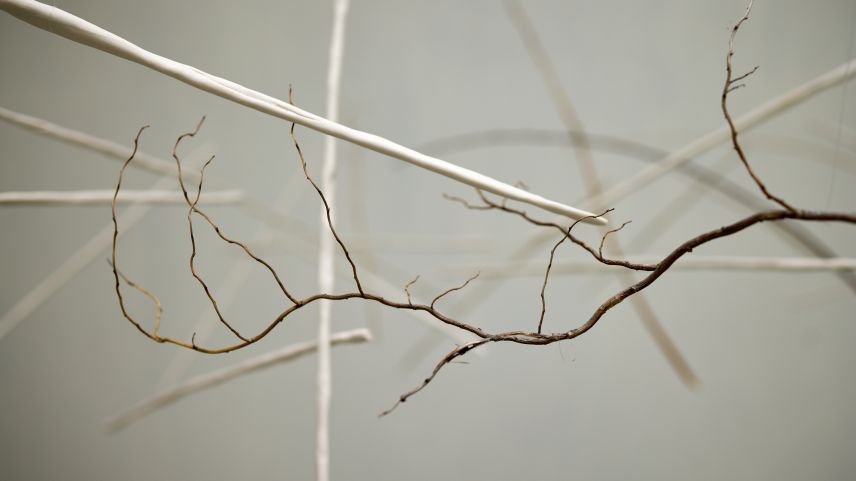 L’ouvra da Madlaina Lys exposta illa «Chasina Naira». «Eu vaiva l’impuls da far alch chi nun es calm», disch l’artista (fotografia: Michael Steiner).