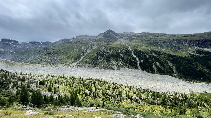 Das Ablagerungsvolumen hat sich seit dem Bergsturz deutlich verringert, ist aber immer noch eindrücklich: Das Material liegt durchschnittlich zwölf Meter hoch, das gesamte Volumen wird auf 4,6 Millionen Kubikmetern beziffert. Foto: Reto Stifel