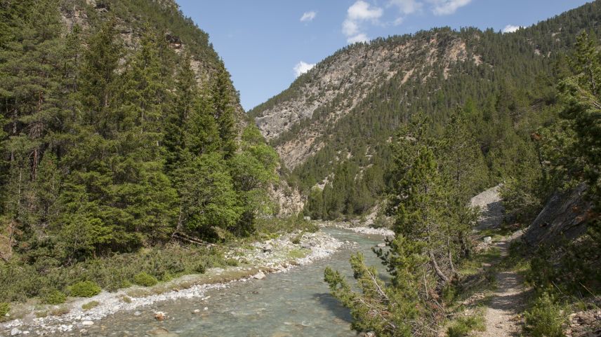 Zehn Jahre nach dem PCB-Unfall wird der Spöl ab 2026 saniert. Foto: Schweizerischer Nationalpark