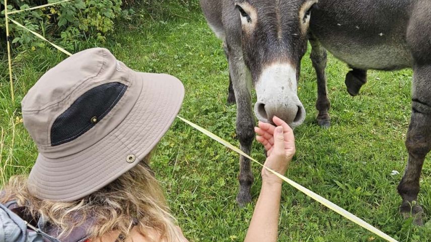 Tierische Begegnung. Foto: Tom Tobler