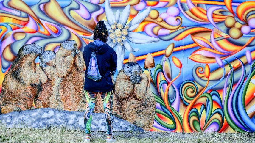 Symbolfoto: Jon Duschletta