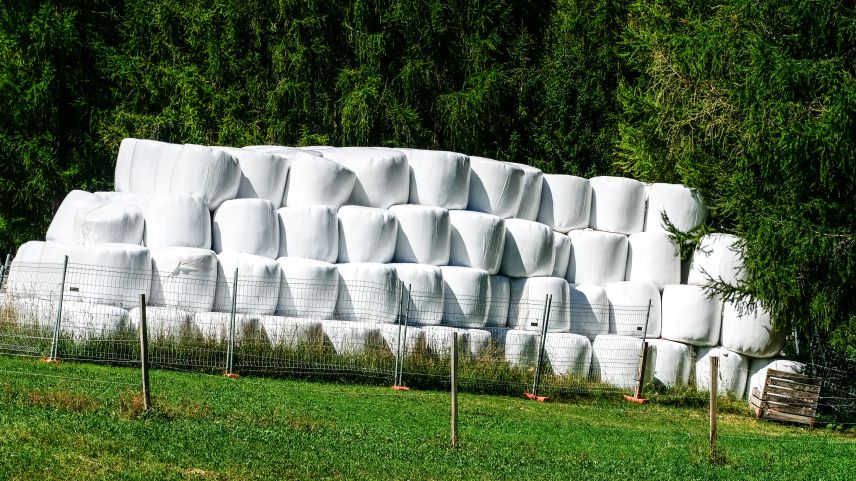 Die allerorts aufgetürmten Siloballen beweisen, dass die Landwirte in den letzten zwei, drei Jahren sehr viel Heu eingefahren haben. Dieses Luxusproblem hat viele Landwirte dazu veranlasst, heuer auf die Karte Ackerbau zu setzen und Getreide anzupflanzen.