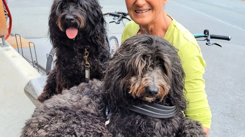 Die portugiesischen Wasserhunde Lia und Emma gehören zur Familie. Foto: Coni Schuster