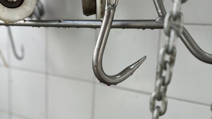 Hygiene und Sauberkeit sind zentrale Elemente in einem Schlachtraum. Foto: Andrea Gutgsell