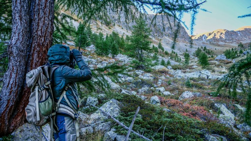 Am Montag beginnt die Bündner Hochjagd und für die Jägerschaft gleichermassen die schönste Zeit des Jahres. Archivbilder: Jon Duschletta