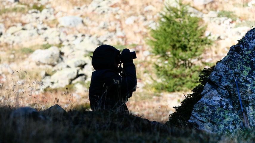 Archivbild: Jon Duschletta