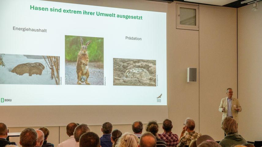 In Zernez referierten verschiedene Experten zum Thema. Foto: Claudio Signer