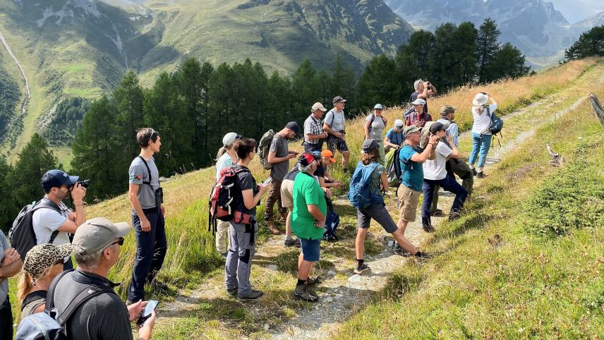 Den Teilnehmenden bot sich die Möglichkeit, die Lebensräume von Feld- und Schneehasen in unterschiedlichen Höhenlagen zu erkunden. Foto: Hannes Jenny