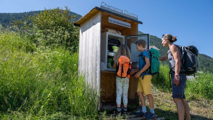 Wanderer helfen beim Provianttransport mit. Foto: Prix Montagne/Schweizer Berghilfe