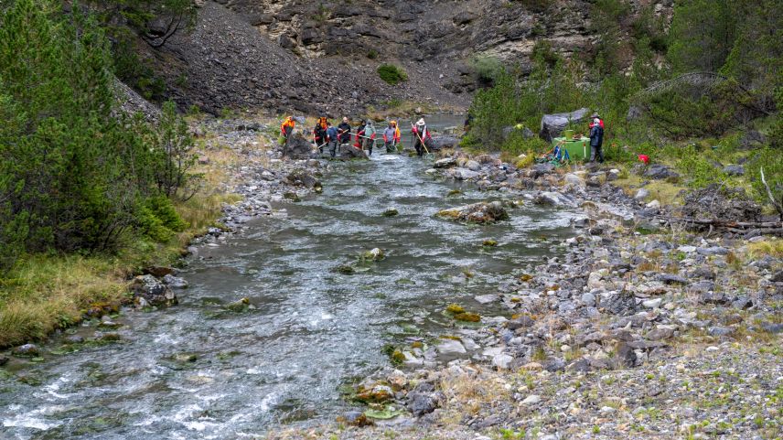 Die Fische im Spöl werden herausgefischt und umgesiedelt. Foto: Schweizerischer Nationalpark/Hans Lozza